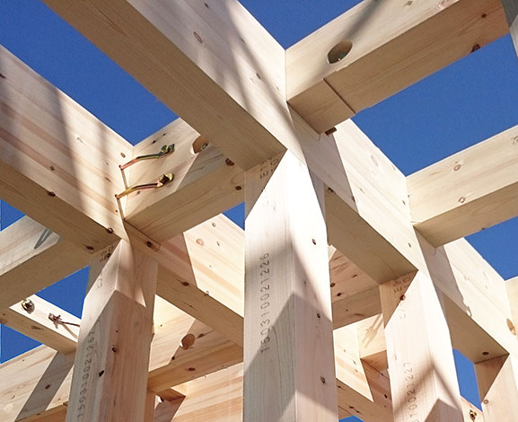 施工現場の様子（上棟）